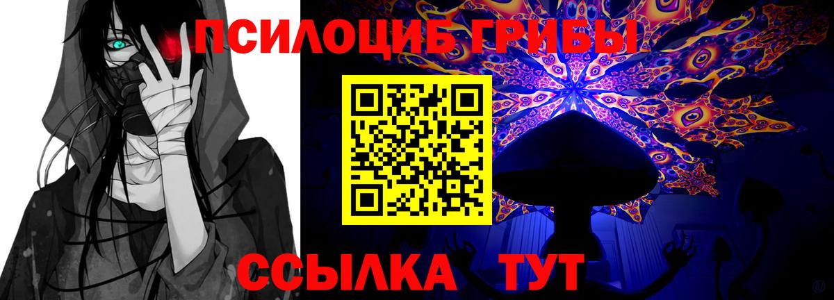 Галлюциногенные грибы Psilocybe  где можно купить наркотик  Кандалакша  Вход с VPN 